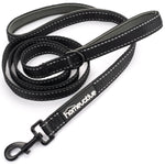 Homevative 6ft Leash with double padded handles
